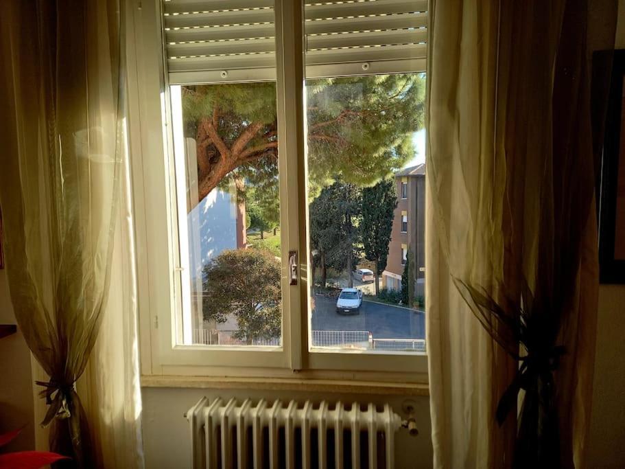 Ferienwohnung Casa Lola Livorno Exterior foto
